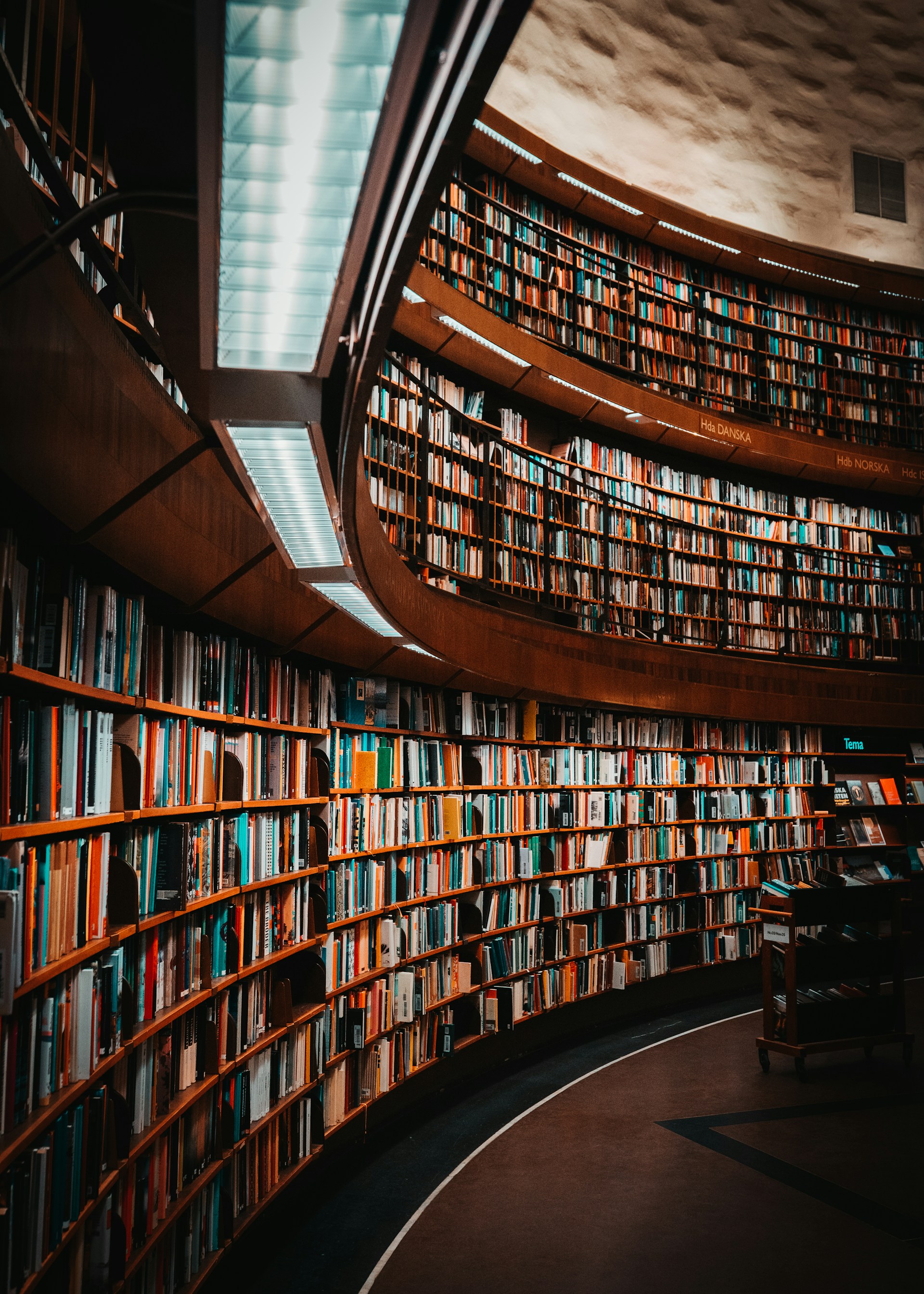 Beautiful university library with warm lighting and curved bookshelves